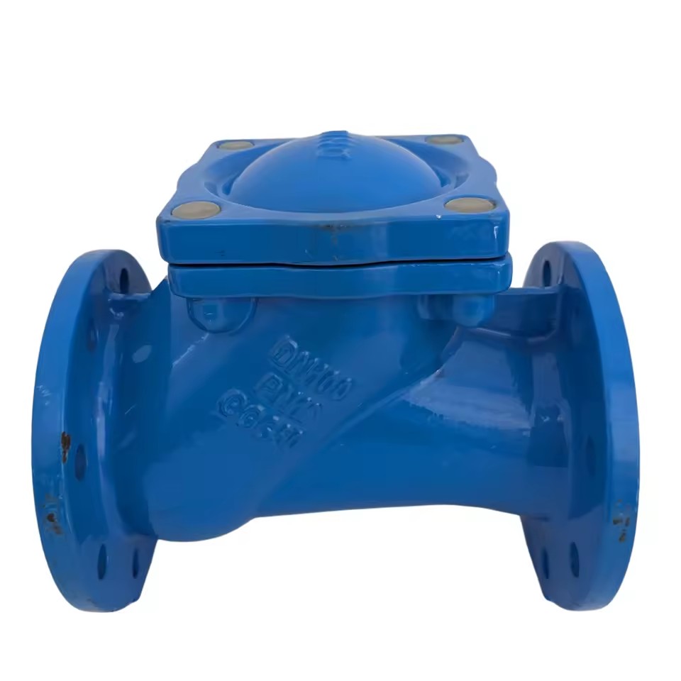 For Water Application Ductile Iron Connection Flang BE EN 1092 Rubber Ball Check Valve Spherical Sewage Discharge Check Valve