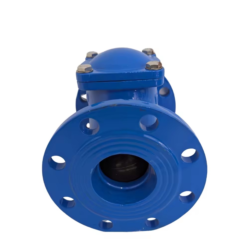 Horizontal or Vertical Pipes Can Be Used OEM/ODM Customizable Ductile Iron Pn10/Pn16 Dn50-Dn600 2'-24" Flange Ball Check Valve