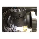 Forged Check Valve size 2'' SW ends stainless steel to allow forward flow and prevent reverse flow for industrial use