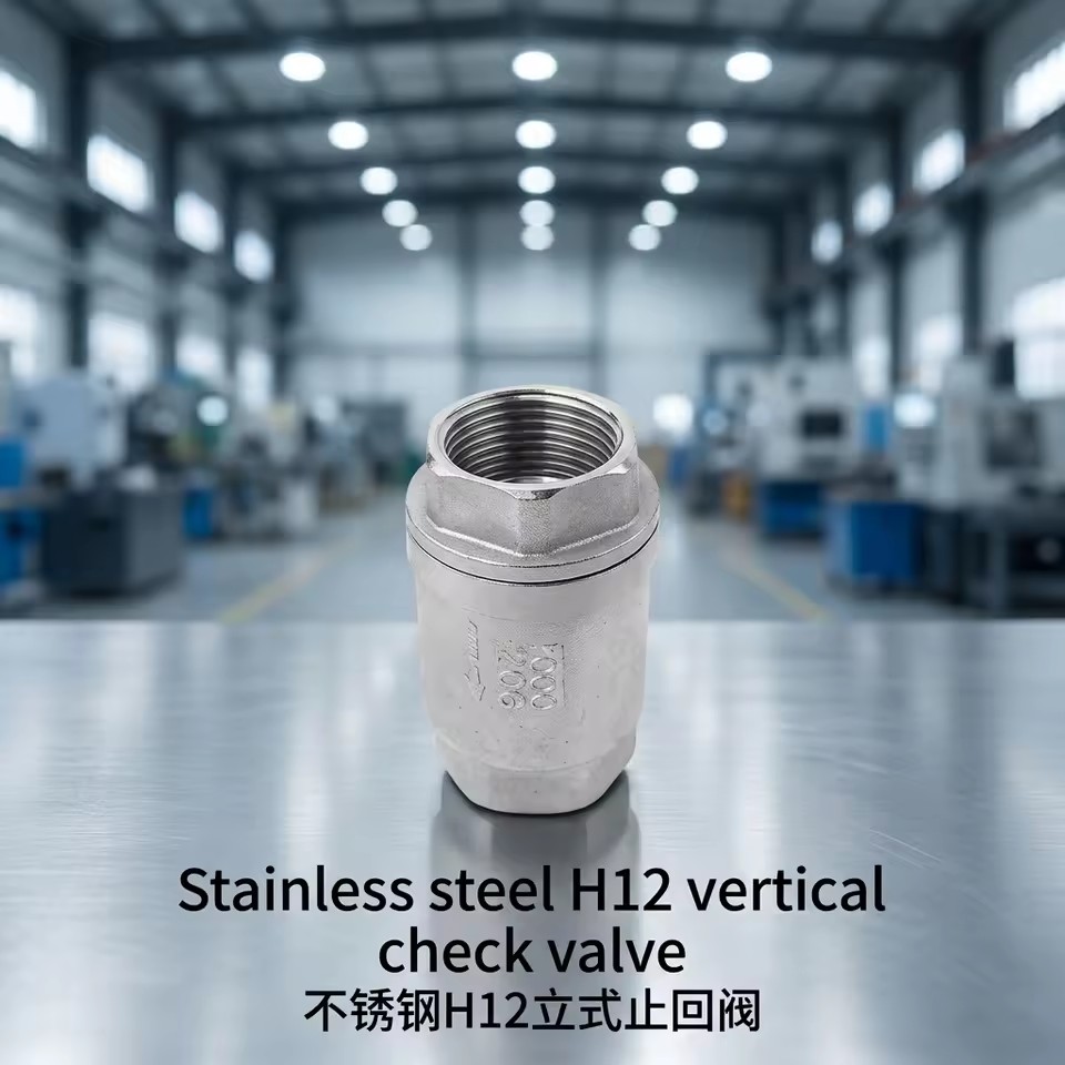 Stainless Steel H12 Vertical Control Check Valve Spring Loaded Threaded OEM Water Oil Gas 1/2"-2" BSP NPT PN16