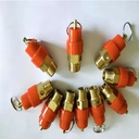 Brass Safety Valve