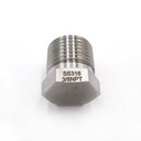 Instrumentation Stainless Steel Pipe Fittings 1/4 3/8 1/2 1 Inch NPT BSPT Male Threaded Hex Head Pipe Plug