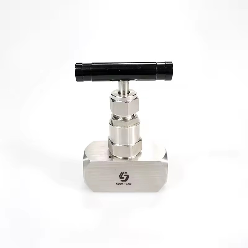 Stainless Steel Female Needle Valve Manual Control 6000psi 10000psi Capacity for Gas Media