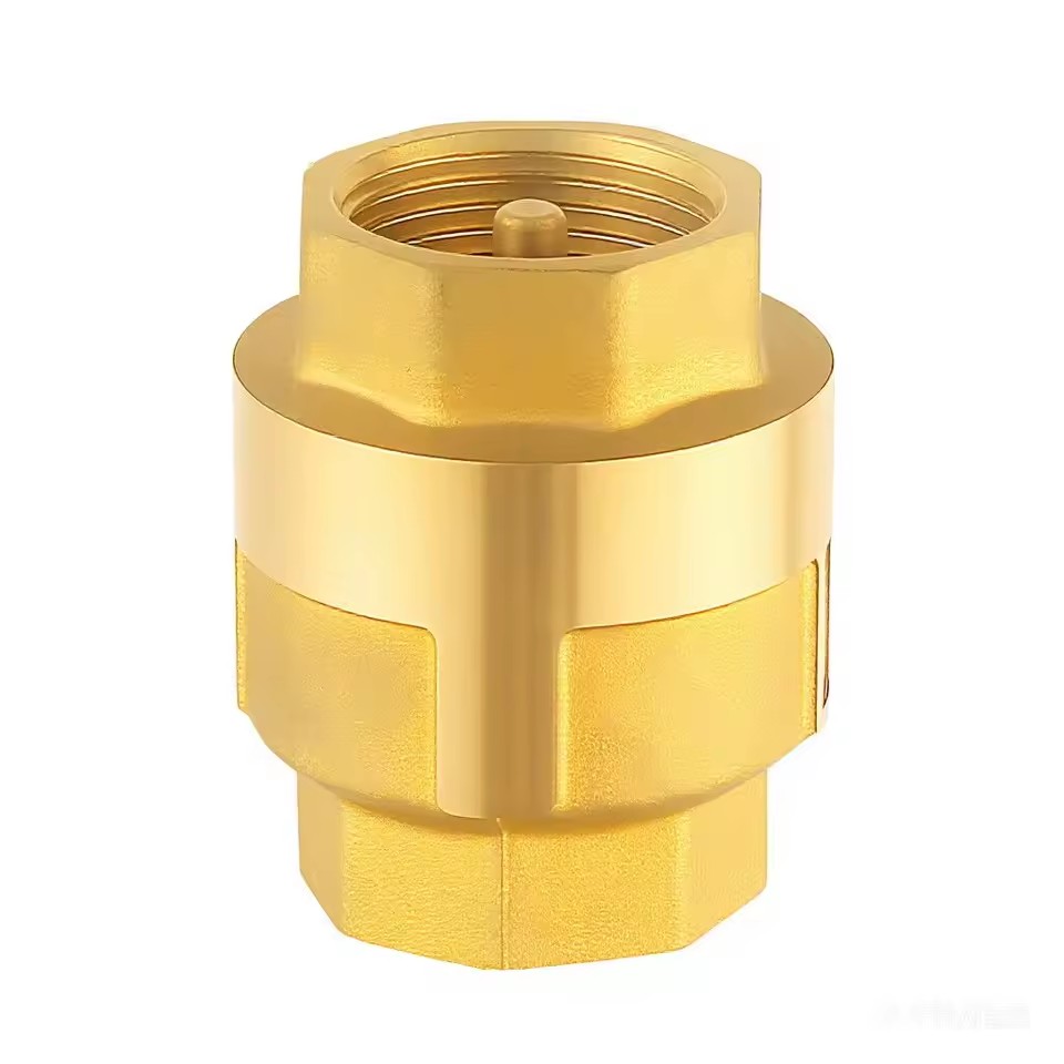 Heavy Duty Brass Spring Check Valve Pn16 Forged Brass Female Threaded Non-Return Valve for Water System Pump Protection