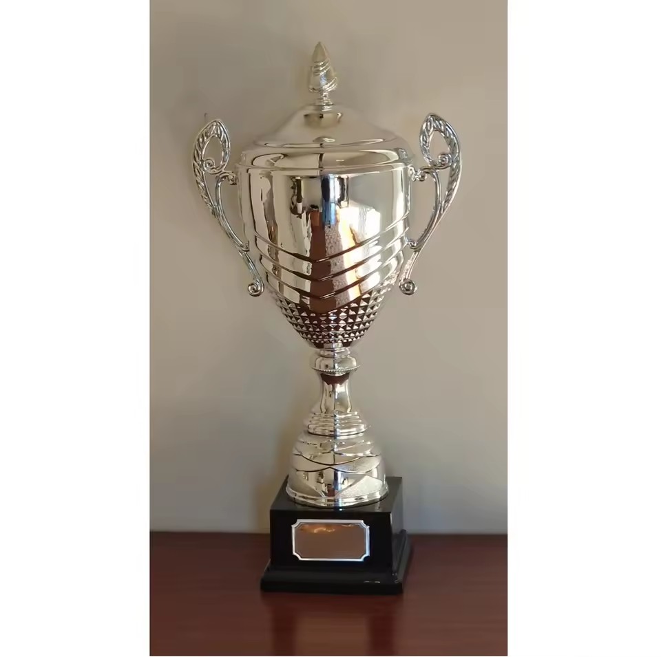 Best Selling Unique Design Metal Trophy Award for Innovation and Technology Competition Available at Good Price