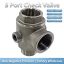 Five Ways Check Valve NPT BSP Stainless Steel 304 Pump No negative pressure