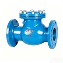 Cast Steel Swing Check Valve, Flanged or Threaded Optional, PN16, 2"~8", for Plumbing & HVAC, OEM Available