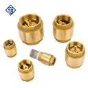 Female Thread Brass Spring Check Valve Vertical One Way Valve for Water Pipe System