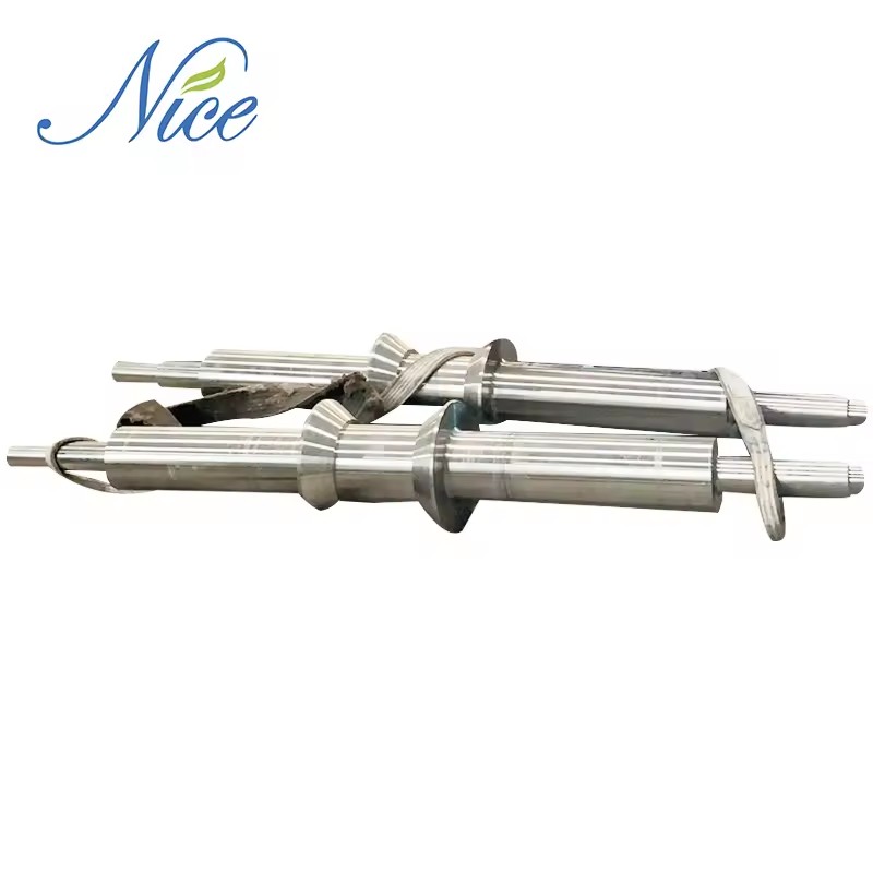 Customized Heat Resistant Wear Resistant Centrifugal Casting Ductile Cast Iron Roll in Galvanized Line
