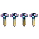 M4 M5*15 17 20mm Titanium Self Tapping Truss Head Bolts Motorcycle Fasteners Grade 10.9/12.9 Custom Color in Inch Metric System