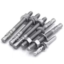 Professional Anchor Bolts M19 Stainless Steel Bolt M12 Expansion Bolt Concrete Anchor
