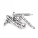 Factory Direct Sales Cross Groove Round Head Drilling Tapping Screw Stainless Steel Screw
