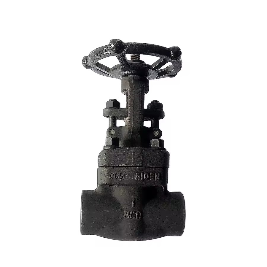 Manual SS304 Casting 1/2 Welded SW 800Class A105 F316 API 602 Carbon 1 Inch Forged Steel High Pressure Gate Valve
