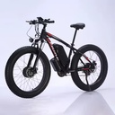 Factory FRIKE Electric Bicycle 1000w Electric Fat Tire Bike Electric Mountain Bike 48v Fahrrad Elektro Dual Motor Electric Bike