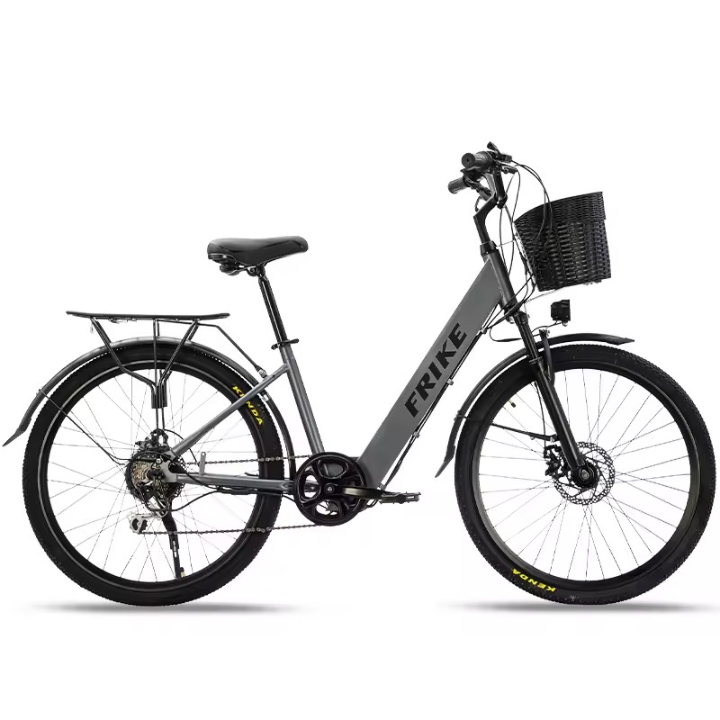 FRIKE Adult Electric Bike Factory Electric Mountain Bike Bici Elettrica 36V Electric Mountain Bike Steel Women Electric Bicycle