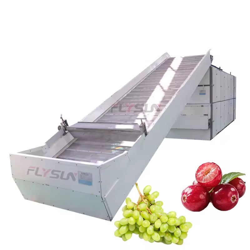 Mesh Belt blower Blower Dryer Fruit Drying Equipment for Continuous High-Capacity Drying of Grapes and Cranberries