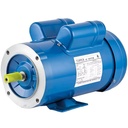 NEMA 0.25HP Single-Phase AC Motor 115V/230V 60Hz Frequency Electric Asynchronous Induction Pump Capacitors Start Pumps