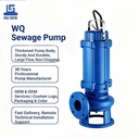 WQ 3KW Cast Iron Mud Bore Hole Wastewater Submersible Sewage Pumps Three-Phase Motor Flange Connection for Water Well Drilling