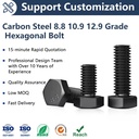 Hot Selling Stainless Steel Carbon Steel Titanium 8.8 10.9 12.9 Hexagonal Bolt Nut Washer Plain Finish for Building Applications
