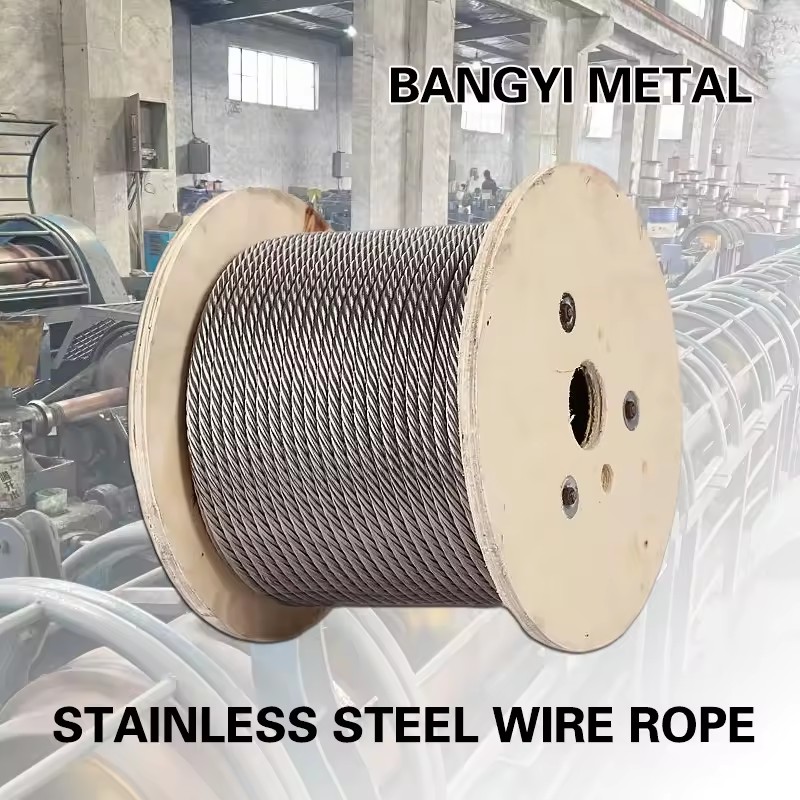 7x7 7x19 304 316 Stainless Steel Wire Strand Rope Cable Ss Wire Rope 3mm 4mm 5mm 6mm SUS304 Steel Cable
