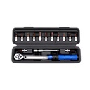 1/4 Inch Drive Click Torque Wrench 17.7-212.4in.lb / 2-24Nm Ratchet with Quick Release Car Repair 15pcs Torque Wrench Set