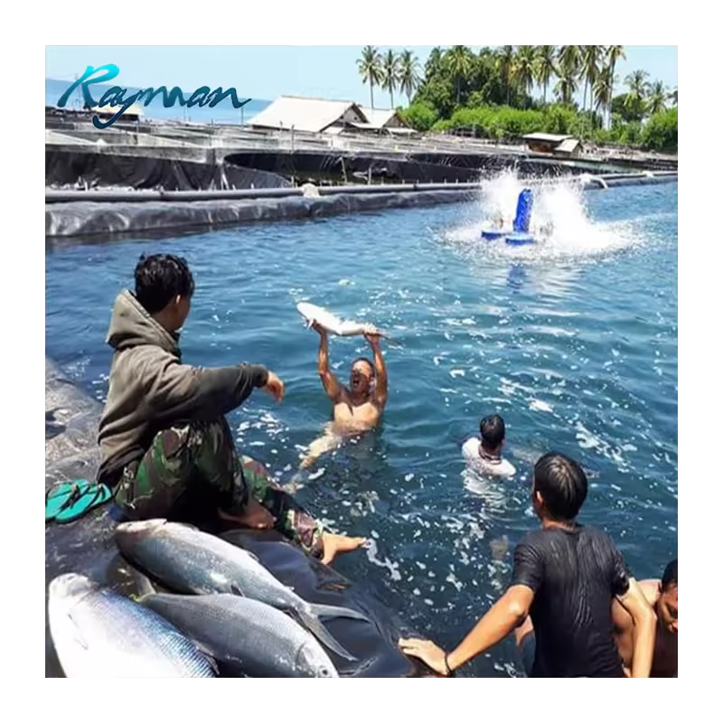 0.5mm 0.75mm HDPE Geomembrane1.0mm 1.5mm LDPE HDPE Pond Liners Price for Aquaculture Dam HDPE Geomembrane