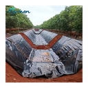 HDPE Pond Liner 0.5mm HDPE Geomembrane 1.0mm 1.5mm for Fish Farming and Dam HDPE Geomembrane