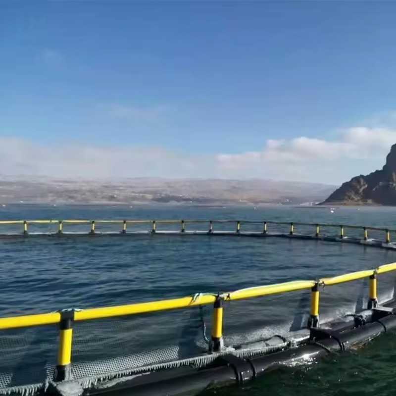 40 Meters Round Hdpe Floating Aquaculture Traps for Agriculture Fish Farming