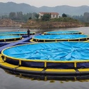 40m Diameter Floating HDPE Circular Net Pen for Coastal Shrimp Aquaculture