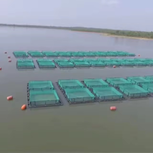 Net for Fish Cages