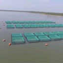 Net for Fish Cages