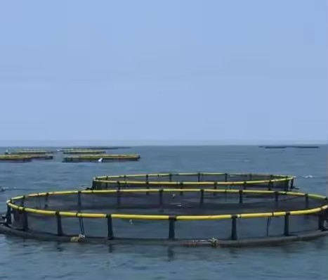 Float Fish Cage