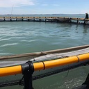 HDPE Fish Trap Cage As Aquaculture Equipment for Marine Cage Fish Farming