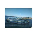 Round Cage Fish for Tilapia Capacity120000 Fish Cage Floating