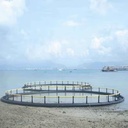 HDPE Floating Fish Farming Cage 10-20m Diameter Aquaculture Trap Wholesale Manufacturer