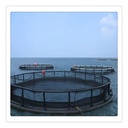 HDPE Fish Farming Net Aquaculture Cage Floating Equipment for Tilapia