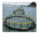 Tilapia Aquaculture Trap Floating Plastic HDPE Square Rectangle Fish Framing Cages in Pond Lake River Fresh Water