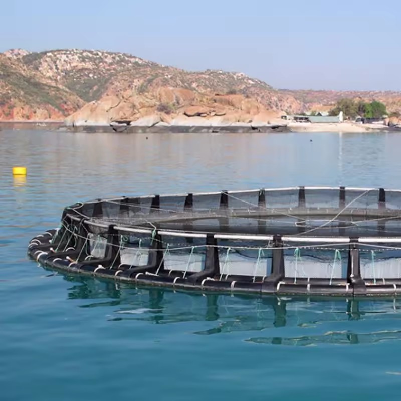 HDPE Aquaculture Fish Farming Floating Net Cages Equipment 60m High Quality for Tilapia Fishing Cages