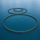 HDPE Farm Fish Cage Perimeter Sea Bass Fish Farming Square/round Cage for Pisciculture