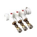 PPR Fittings Plastic Manifold