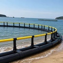 HDPE Net Cage Floating for High Production Fish Farm