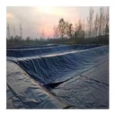 HDPE LDPE Geomembrane Liner for Artificial Lake & Pond 0.75 1mm-2mm Fish Farming Aquaculture Dams Dam Liner