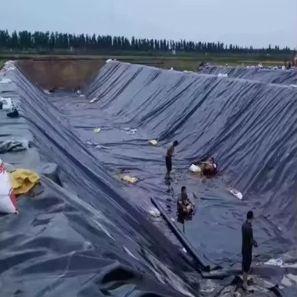 Factory Hdpe Geomembrane Hdpe Circular Fish ponds tank Dam Liner Waterproof Membrane Shrimp Farming Landfill Artificial Lake