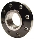 6061-T6 Aluminum Alloy WNRF Flange
