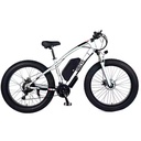 26-Inch Fat Tire Electric Mountain Bike with 48V 15ah Battery MTB Folding E-Bicycle with Hydraulic Disc Brake