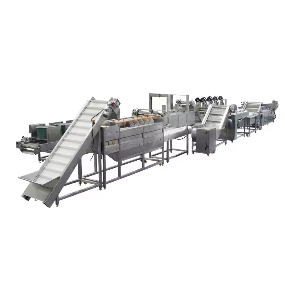 French Fries Potato Chips & Vegetable/Seafood Production Line with Automatic Control 100kg-5000kg/h Capacity