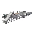French Fries Potato Chips & Vegetable/Seafood Production Line with Automatic Control 100kg-5000kg/h Capacity