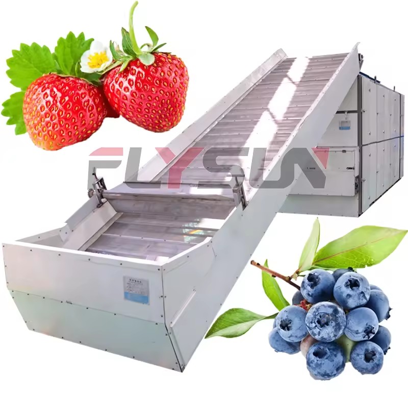 Automatic Stainless Steel Multilayer Continuous Mesh Belt Drying Equipment for Fruit Strawberry Blueberry with Gear