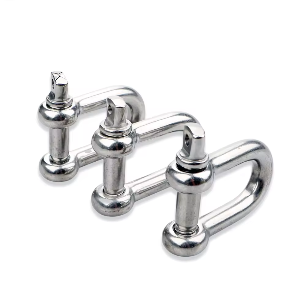 Type Polished Screw Marine Anchor Lifting Chain D Shackles 304/316 Stainless Steel High Quality European Silver Metric 10pcs