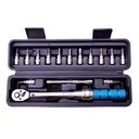 15pcs Torque Wrench Set 1/4\" 2-24Nm Bike Allen Key Tool Socket Spanner Customizable Bicycle Repair Kit OEM Supported